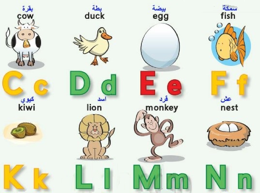 Phonics Practice